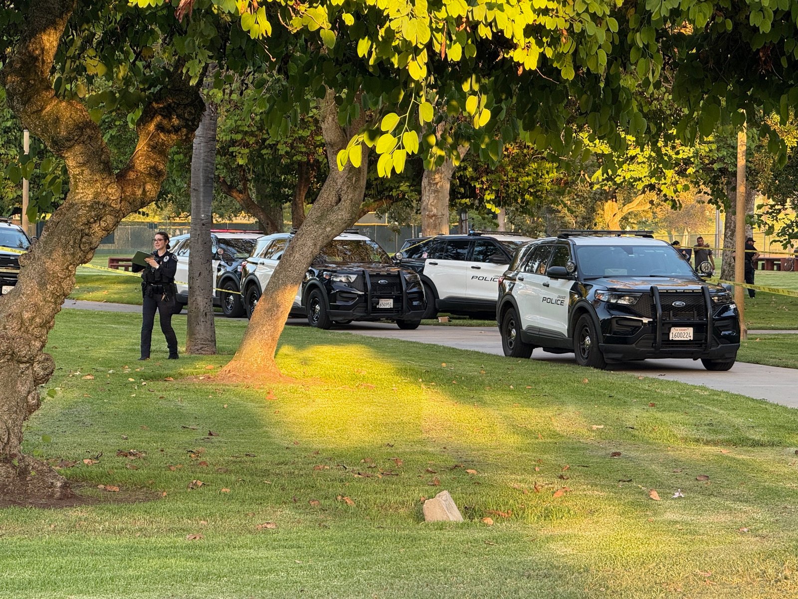Orange Police SUVs line a path under trees at Hart Park, with an officer standing on the lawn.
